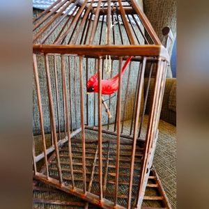 Primitive wooden bird  cage with cardinal